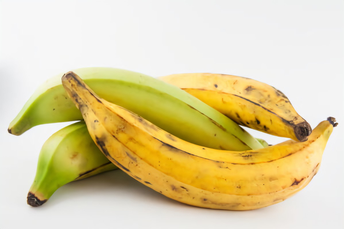 plátano bellaco 1 und
